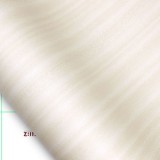 ǰ̹